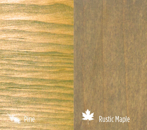 shrew_3woods-e1743528763490